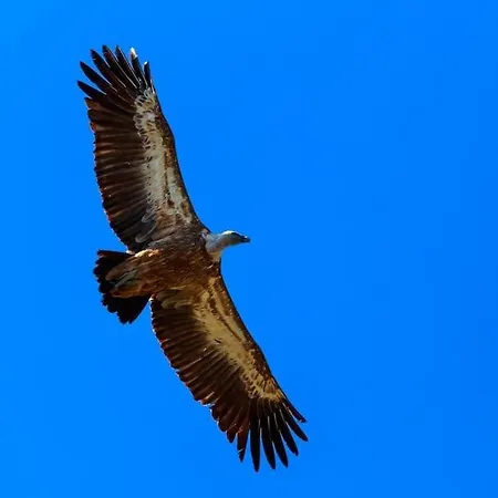 Apartment Stara Porozina