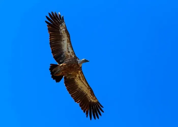 Apartment Stara Porozina